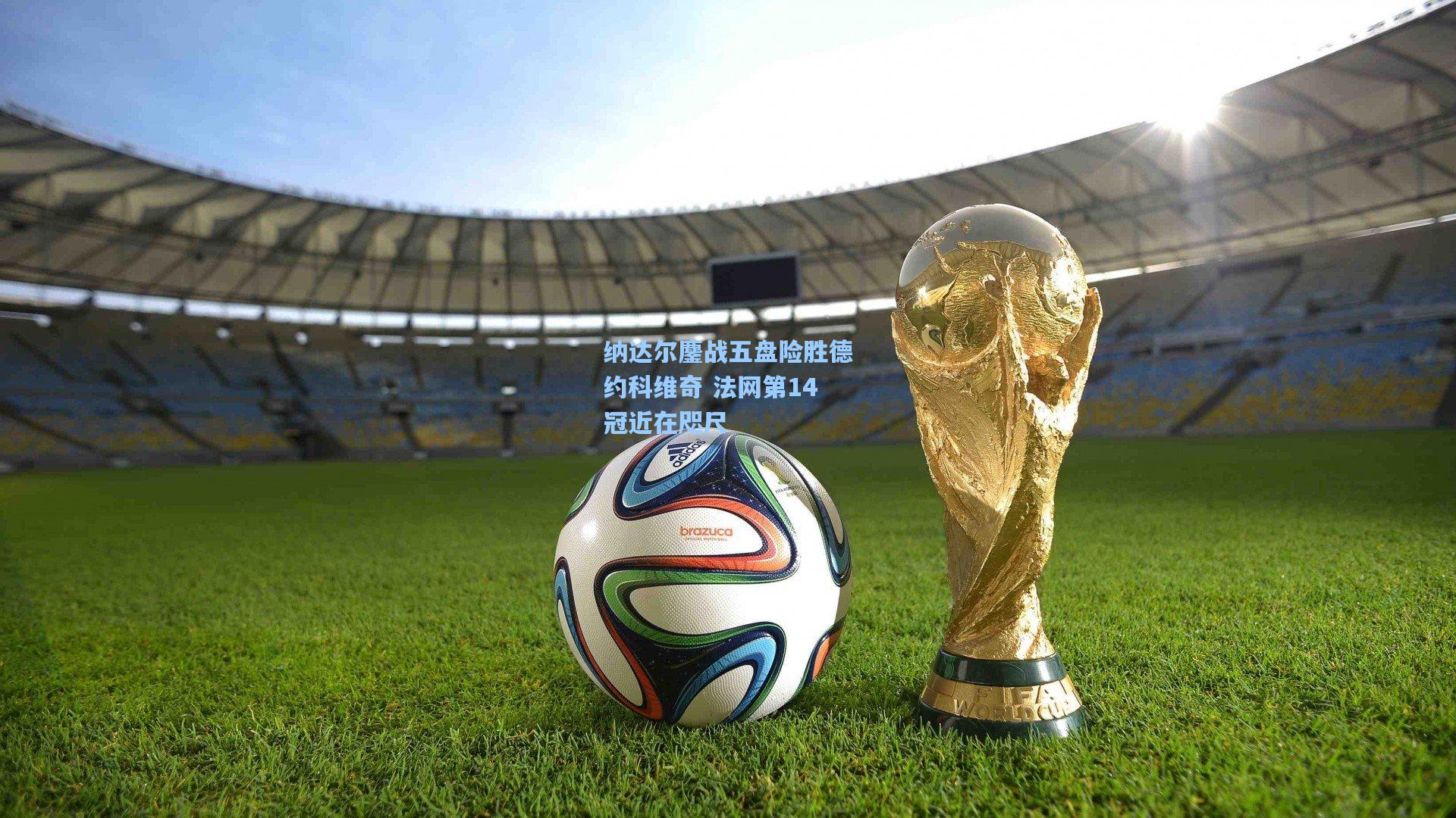 纳达尔鏖战五盘险胜德约科维奇 法网第14冠近在咫尺