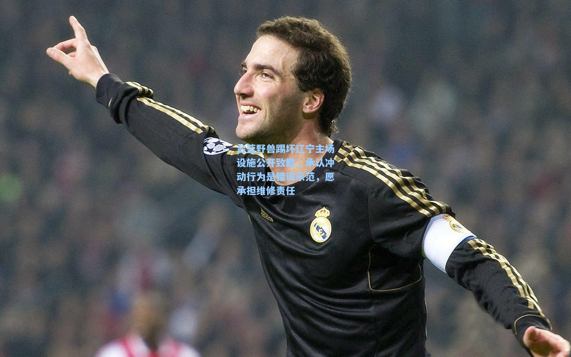 台篮野兽踢坏辽宁主场设施公开致歉，承认冲动行为是错误示范，愿承担维修责任